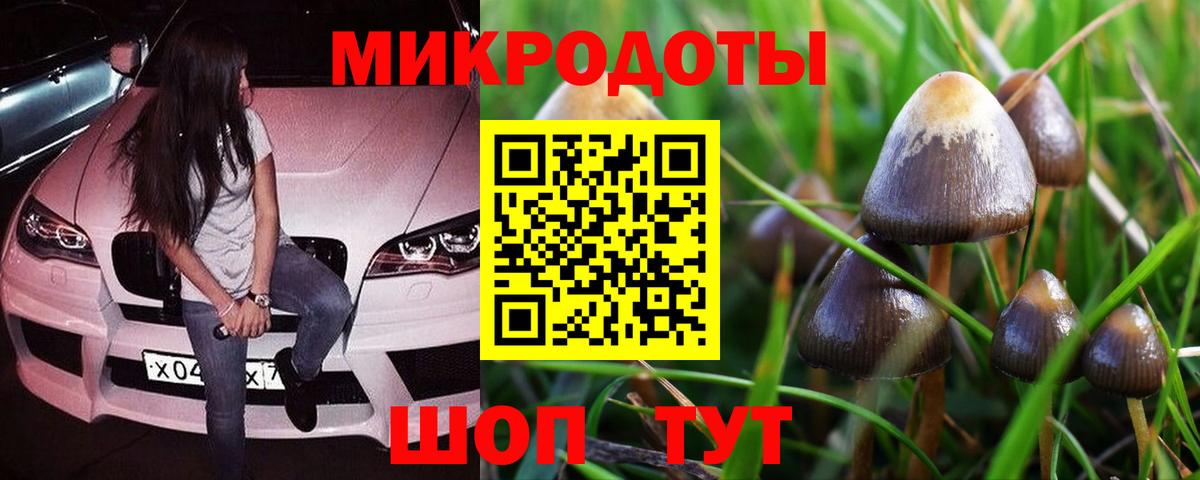 Галлюциногенные грибы MAGIC MUSHROOMS  Вход с VPN  Донецк  Псилоцибиновые грибы Psilocybe 